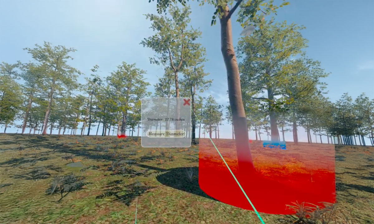 virtual forest in VR