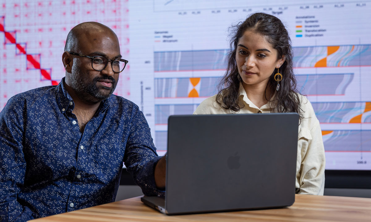 two people looking at data and graphs